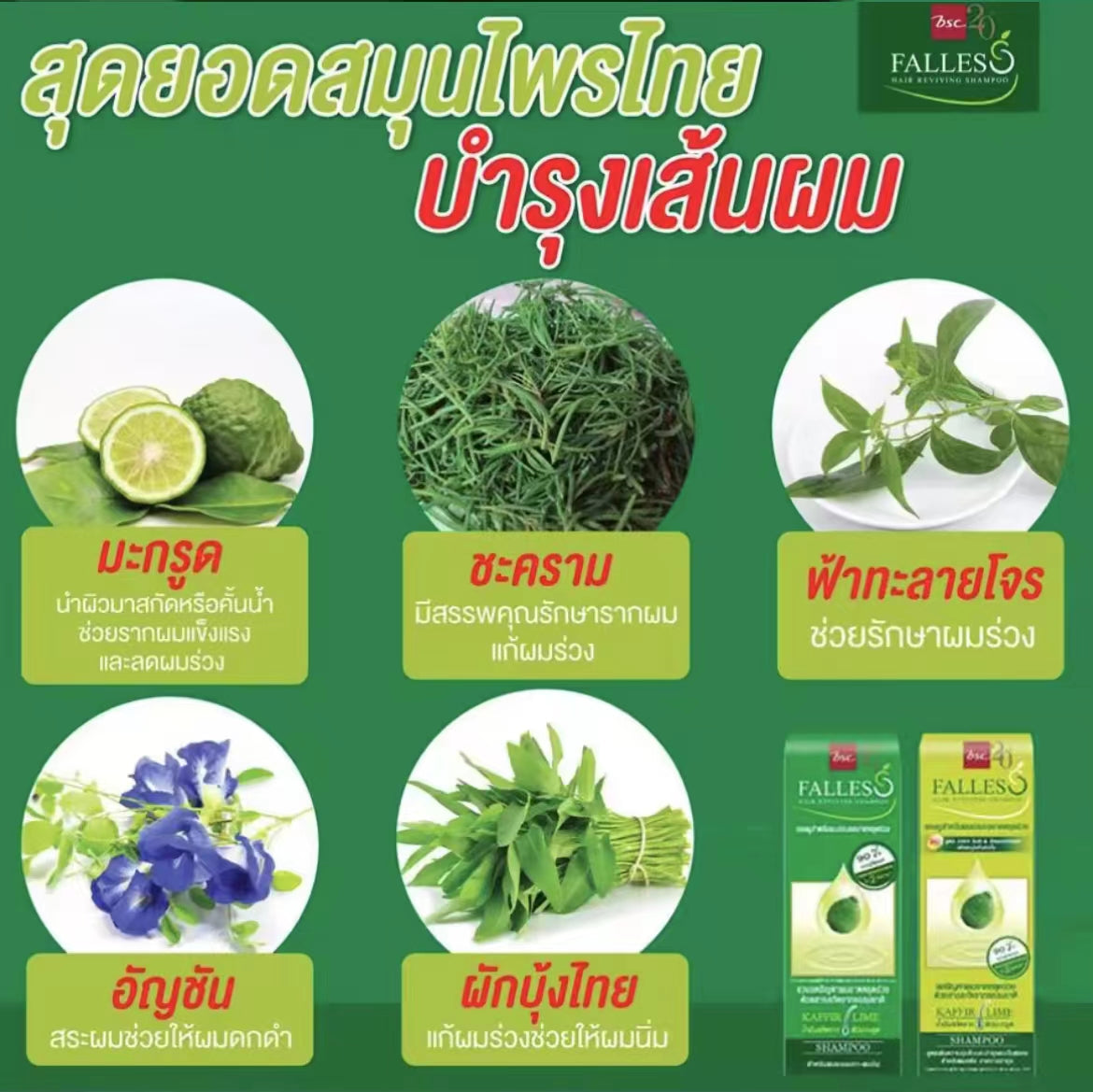 泰國🇹🇭  FALLES 野生檸檬🍋防脫髮再生洗髮水
