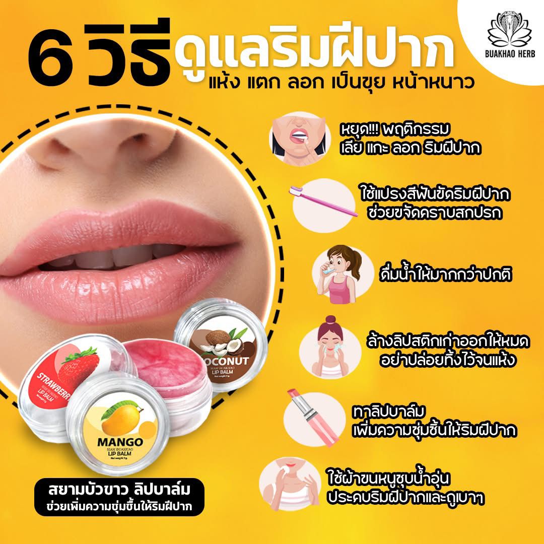 泰國🇹🇭本土🥥天然椰子油潤唇膏