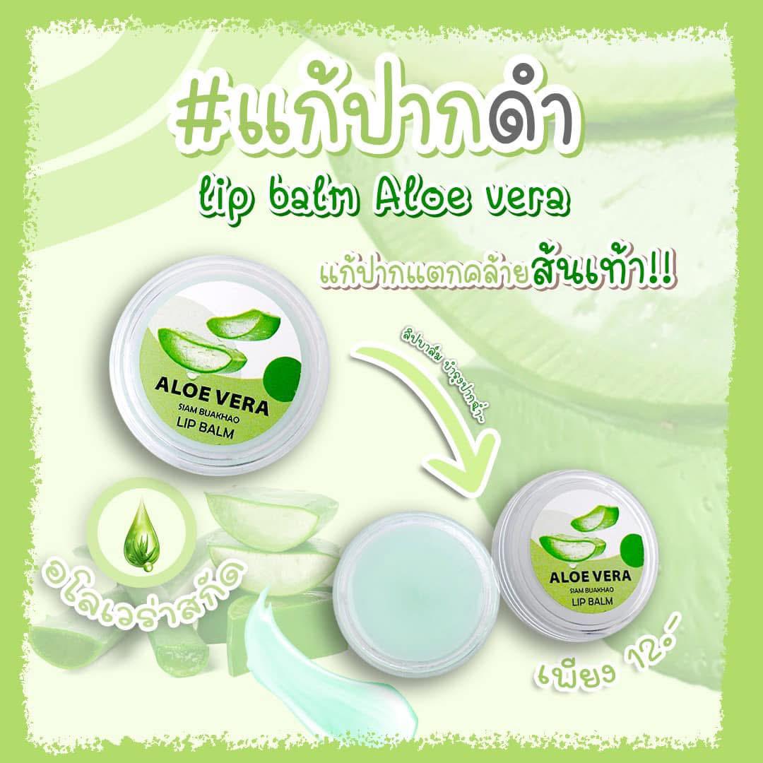 泰國🇹🇭本土🥥天然椰子油潤唇膏